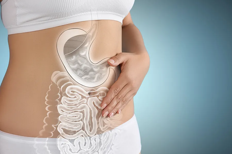 Gut-Health-Doctor Close up of the midriff of a woman with white underwear and an illustration of the digestive system superimposed over the image. Get help for digestive issues and gut health from Lux Hormones & Health Wellness in San Diego.